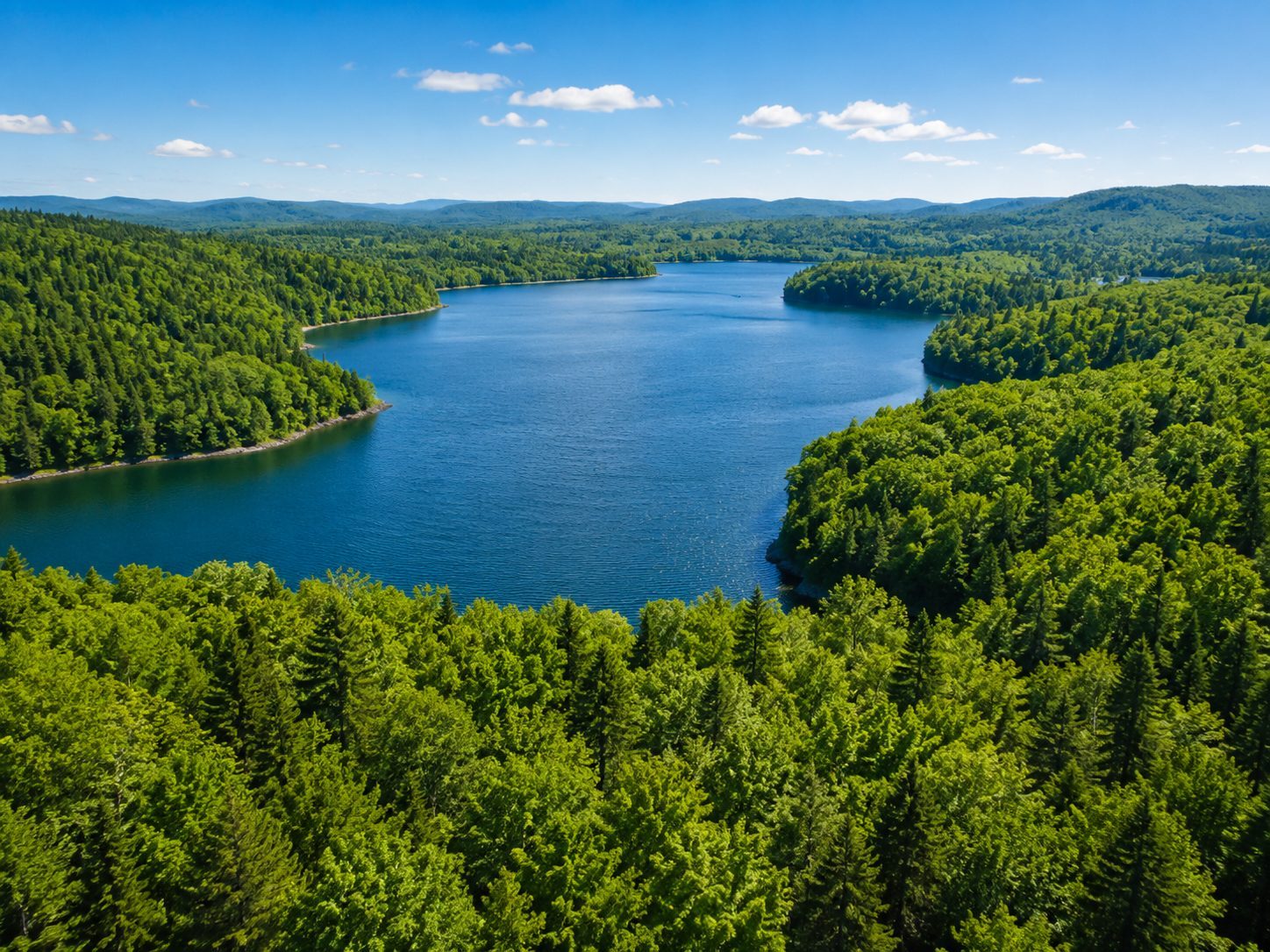 Lake Johnston shore lined with mature trees