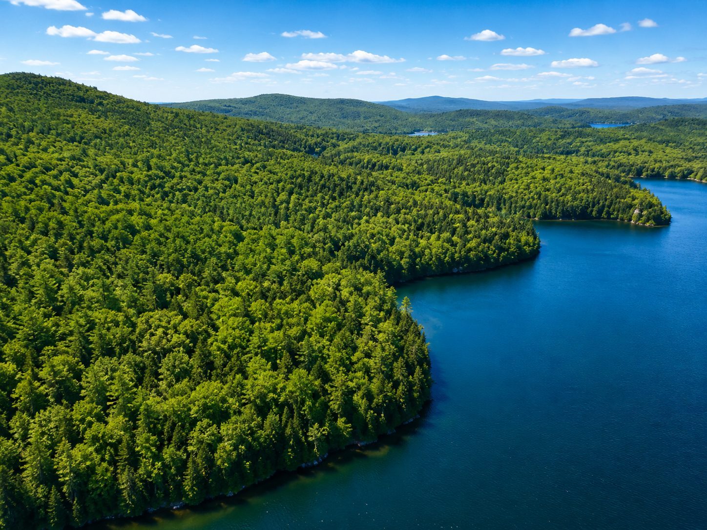 Forest and terrain surrounding the La Pêche estate